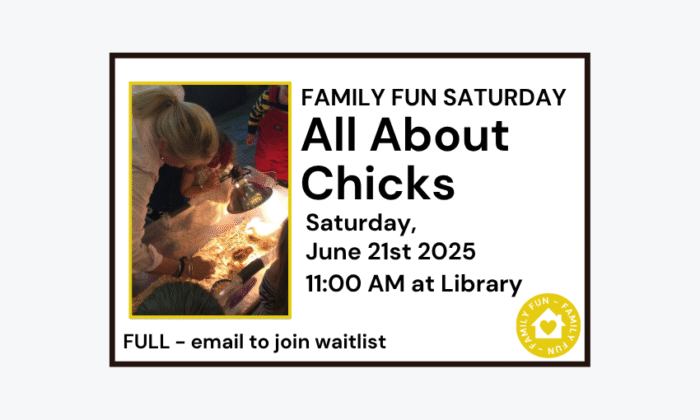 250621 Family Fun Saturday All About Chicks at 11am at the Library. Registration is full. Email us to join the waitlist.