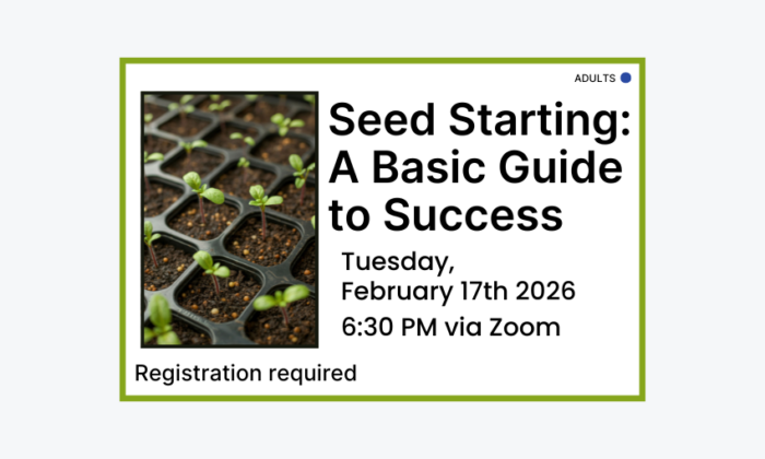 260217 Seed Starting A Basic Guide to Success at 6:30pm via Zoom. Registration required. Adult program.