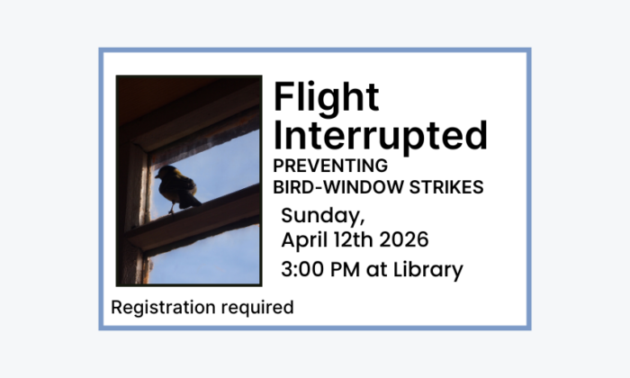 240412 Flight Interrupted Preventing Bird-Window Strikes at 3pm at the Library. Registration required. Adult program.