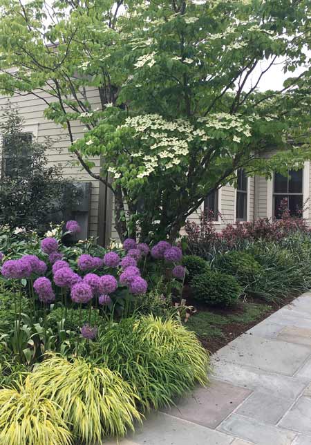 Library Garden