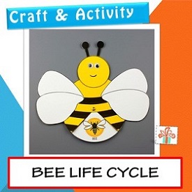 drawing of bee life cycle craft