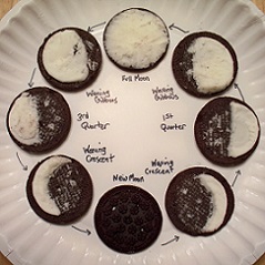 oreo cookies with cream scraped out to resemble moon phases