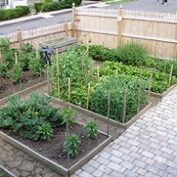 backyard patio with several raised vegetable beds