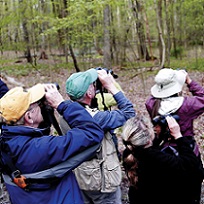 hikers looking into binoculars