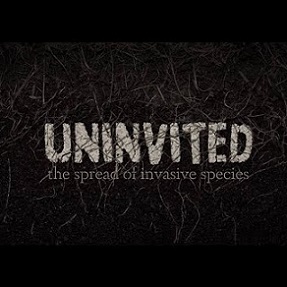 vines tangled around the words UNIVITED the spread of invasive species