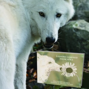 white wolf standing next to a book titled "Lessons Learned From Atka"