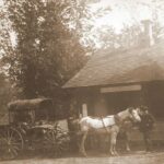 man with horse-drawn carriage outside old Waccabuc Post Office