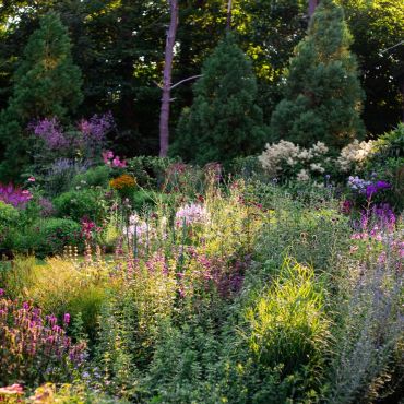 a blooming perennial garden in spring