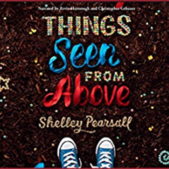 Book jacket featuring pair of sneakers below colorful words "Things Seen from Above"
