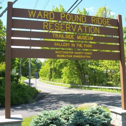 large wooden outdoor sign reading Ward Pound Ridge Reservation