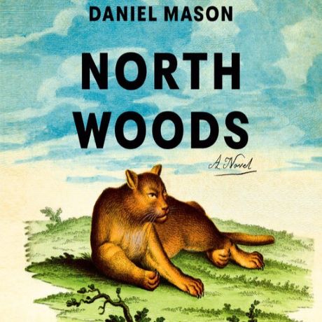 book jacket with title North Woods over drawing of bobcat lying in the grass