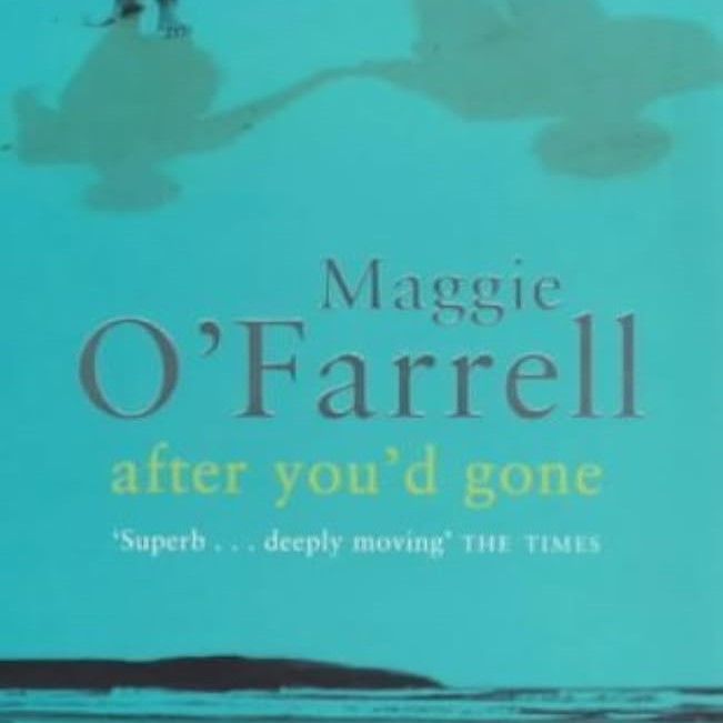 book jacket featuring shadows reflected on a beach, with the title after you'd gone