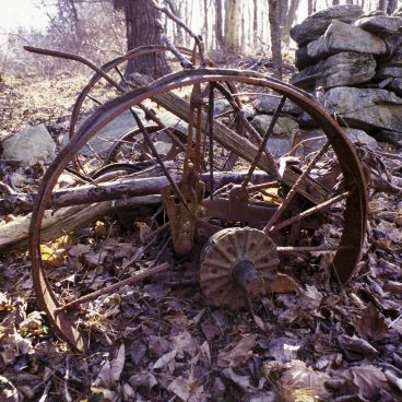 photograph of a rusty antique horse plow nestled in leaves by a stone wall