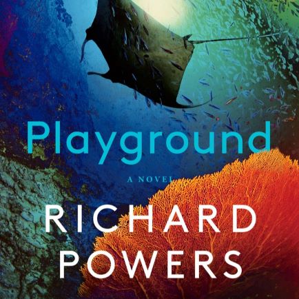 Book cover with the word Playground over a photo of a coral reef with a stingray