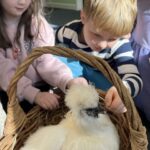 children gathered around a white silkie chicken in a basket