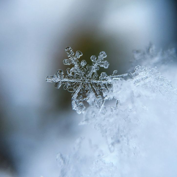 up close photo of a real snowflake