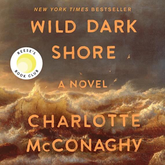 Book cover image for Wild Dark Shore A Novel by CHarlotte McConaghy