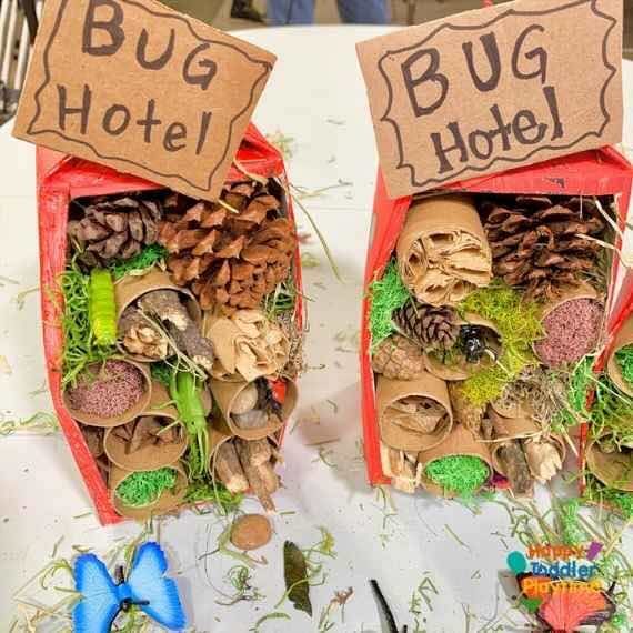 Two containers filled with pinecones, cardboard rolls, and leaves with a sign on top of both that says Bug Hotel.