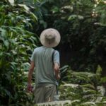 Person in a hat stands in front of large bushes and trees with their back to the camera.