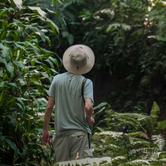 Person in a hat stands in front of large bushes and trees with their back to the camera.