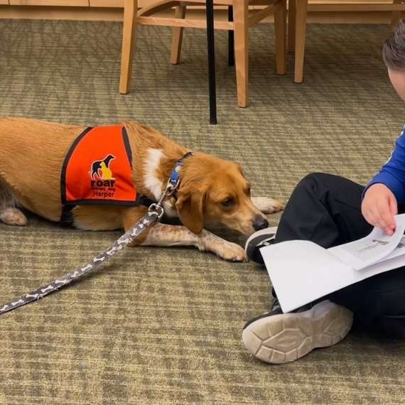 Dog lying down next to a child who is reading from a book