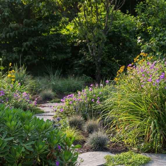 Stone path through a garden.