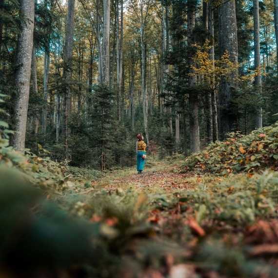 A figure stands in the middle of a clearing in the forest